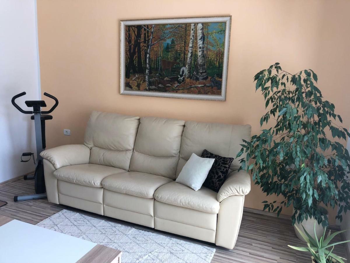 Apartma Mahnic Postojna Exterior foto